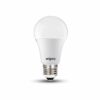 wipro Garnet 7W LED Bulb for Home & Office |Cool Day White (6500K) | E27 Base|220 degree Light coverage |4Kv Surge Protection |400V High Voltage Protection |Energy Efficient | Pack of 10 - Image 3