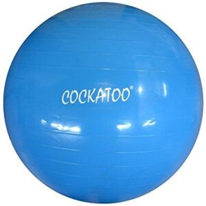 Cockatoo GB-75 Anti-Burst Gym Ball, 75cm